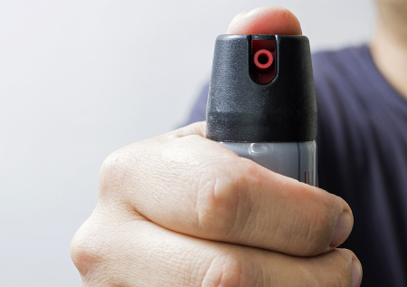 Учебный день закончился для 11-летней школьницы порцией «перца» в лицо