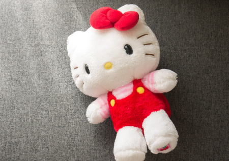 Убийцы спрятали череп жертвы в игрушку Hello Kitty