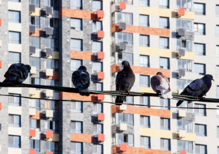 Стало известно, за сколько продают самую маленькую комнату в России