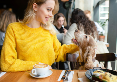 Ресторатор назвала главный минус идеи запретить посещать кафе с питомцами