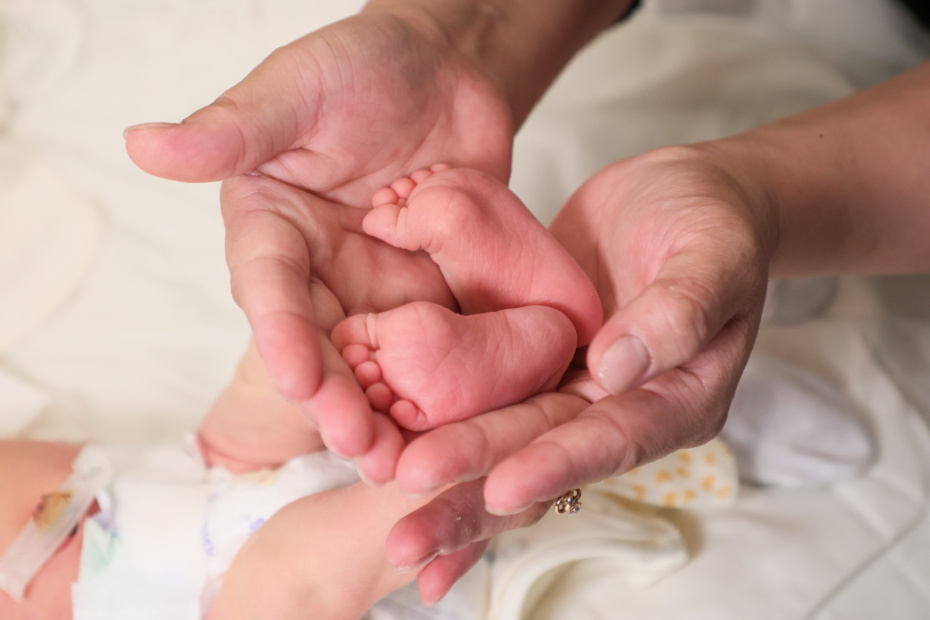 Расчет пособий и отпускных в 2025–2026 году: что изменилось?