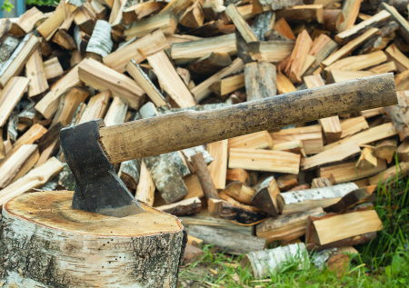 Россиянам объяснили, какой объем дров нужно заготавливать на зиму