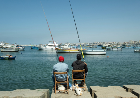 Рыба-крокодил шокировала посетителей рынка в курортном городе