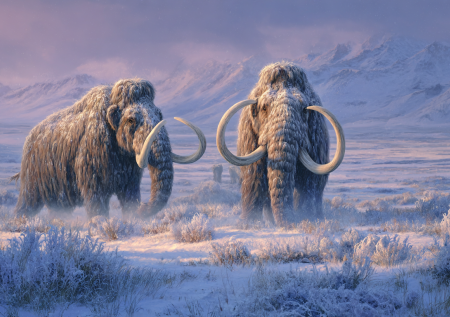 Легендарные мамонты России: как их находили и что узнали ученые