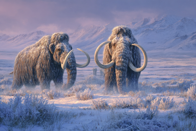 Легендарные мамонты России: как их находили и что узнали ученые