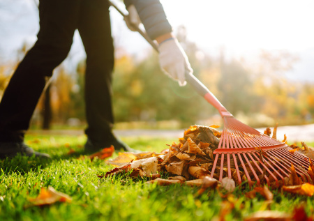Дачникам раскрыли лайфхак, как уберечь плодовые деревья от гибели зимой