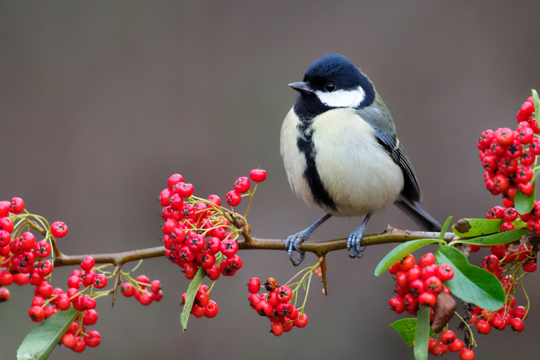 Приметы 12 ноября