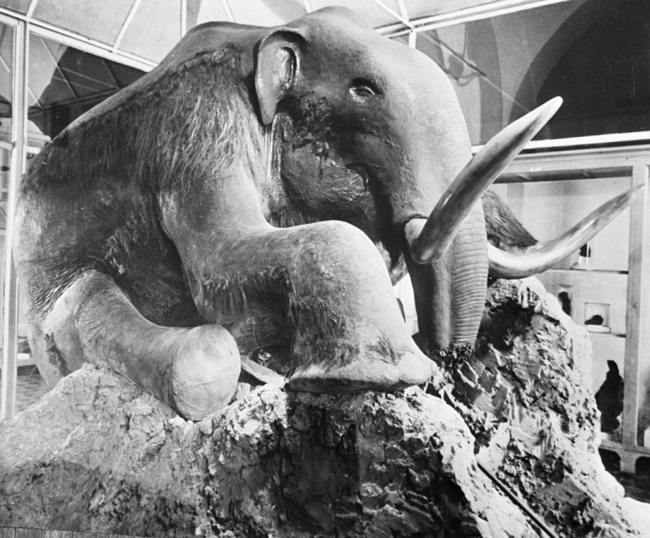 Чучело Березовского мамонта