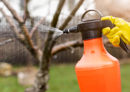 Когда опрыскивать сад в ноябре даже в снег: сроки для всех регионов России