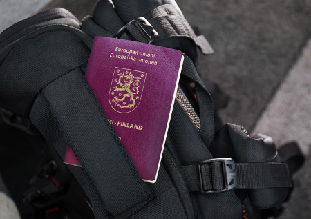 Экс-депутат парламента Финляндии попросил убежище в России