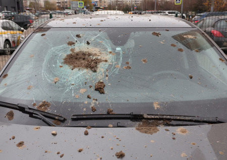 Раскрыта предварительная причина обрушения «Снежкома» в Красногорске