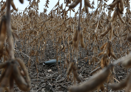 Стало известно, сколько россиян погибли за 10 месяцев из-за дронов ВСУ