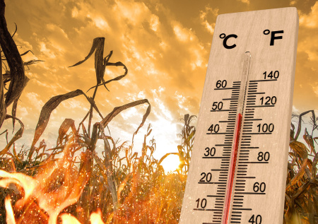 Климатолог рассказал, как глобальное потепление изменит экономику