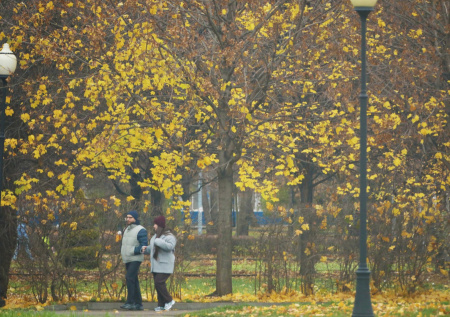 Погода в Москве в среду, 12 ноября: ждем весеннюю жару до плюс 15 градусов?