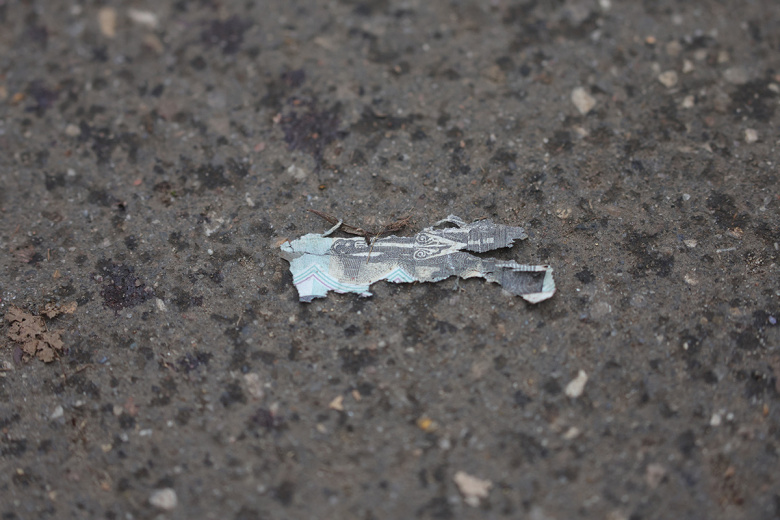 Красногорск. Обстановка на месте взрыва в Красногорске, где девятилетний мальчик получил тяжелые травмы после взрыва самодельного устройства, спрятанного в десяти рублевой купюре