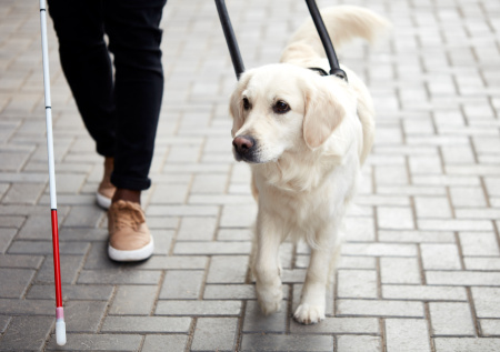 Женщина ослепла через несколько дней после свадьбы из-за редкой болезни