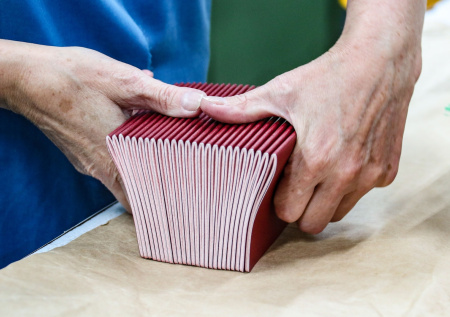 Жители Абхазии смогут получить российский паспорт дома