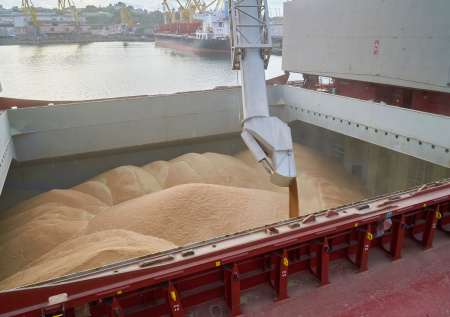 В Армении раскрыли, как отказ от российского зерна скажется на экономике