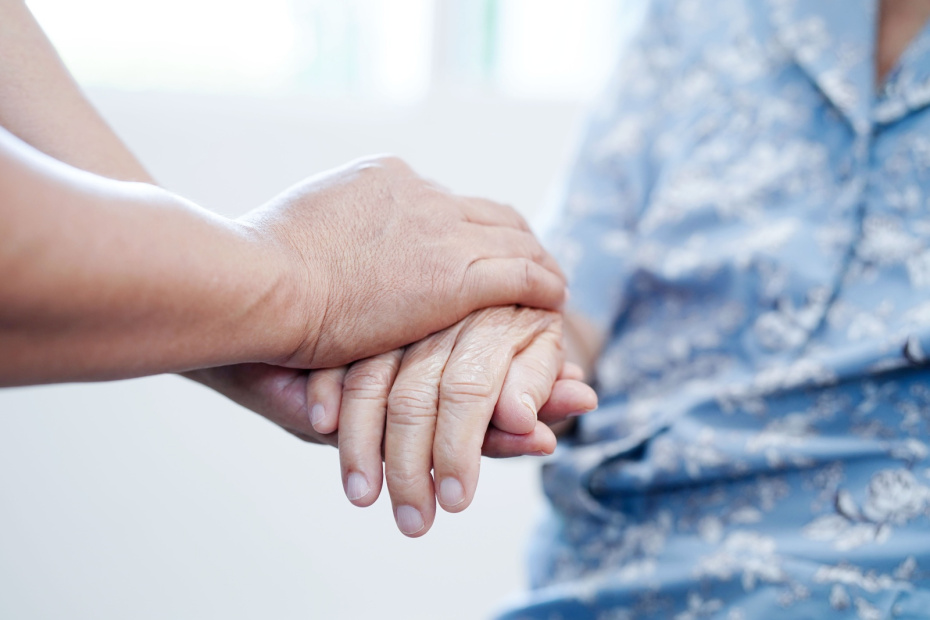 Праздники и памятные даты 13 ноября 2025 года