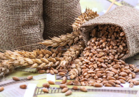 Разведчики узнали о хитрой схеме Армении с украинским зерном