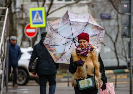 Погода в Москве в пятницу, 14 ноября: ждать ли ураганного ветра и дожди