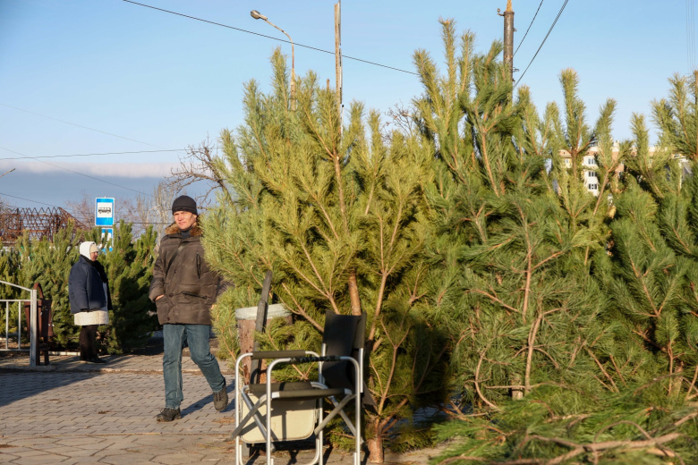 Ёлочный базар