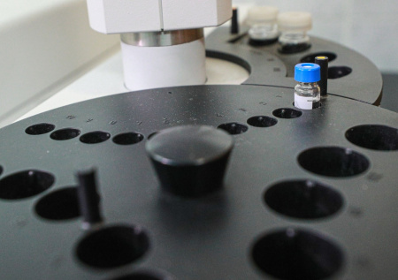 «Стало для нас сюрпризом»: почка свиньи «атаковала» человека