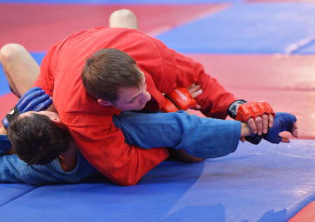 День самбо: гордость российского боевого искусства