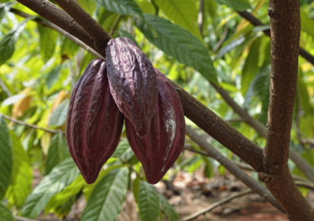 Один продукт значительно подешевел спустя полтора года