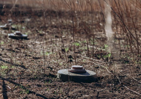 Раскрыто, как ВСУ нарушали международную конвенцию в Курской области