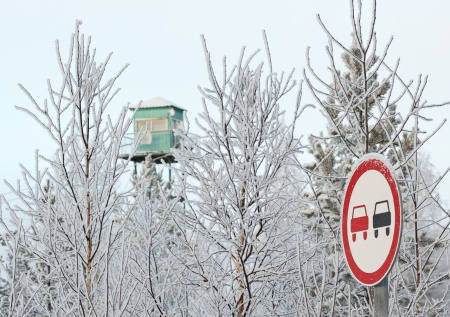 Москвичам рассказали, будет ли декабрь снежным