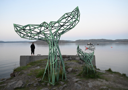 Туристы оказались в ловушке из-за желания увидеть китов