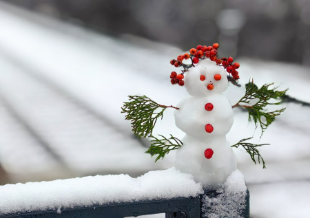 Москва проснулась под первым снегом: атмосферные кадры первых следов зимы