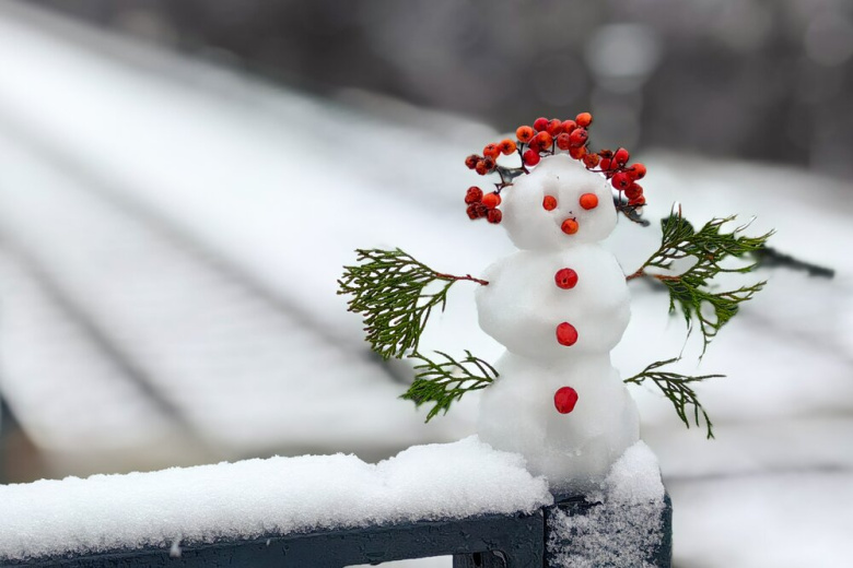 Первый снег в Москве