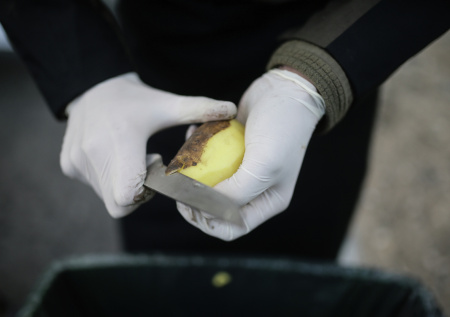 Картофельные очистки для сада: секрет роскошного урожая без лишних трат