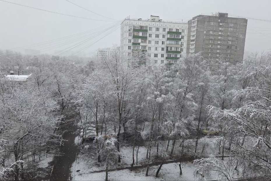 Первый снег в Москве