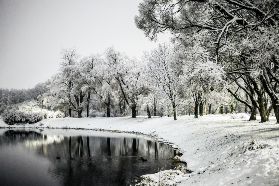 Первый снег в Москве