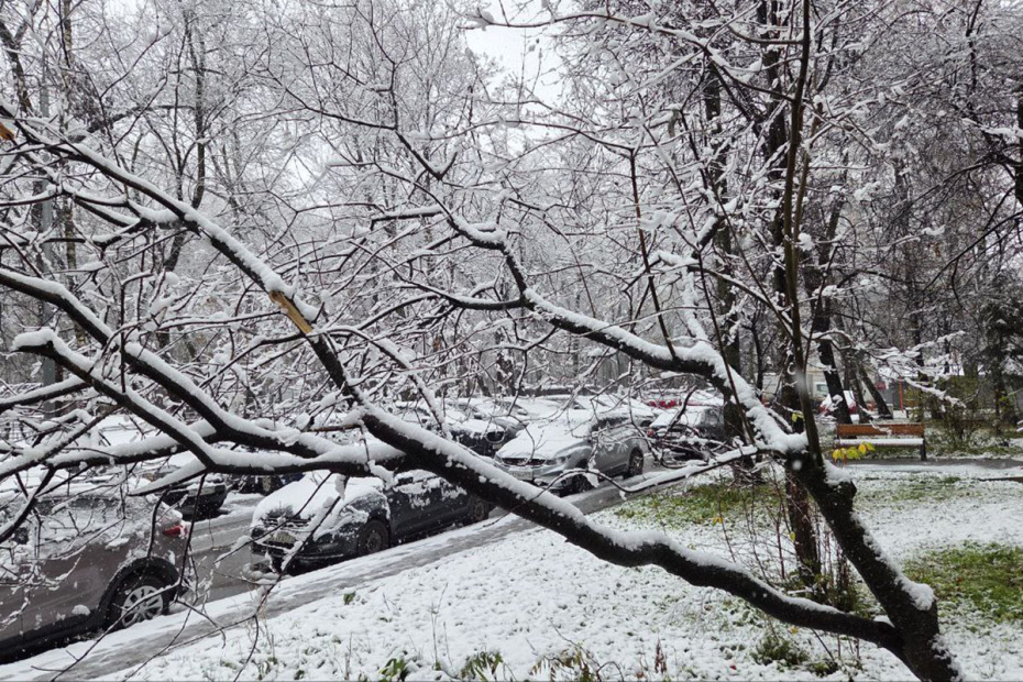 Первый снег в Москве