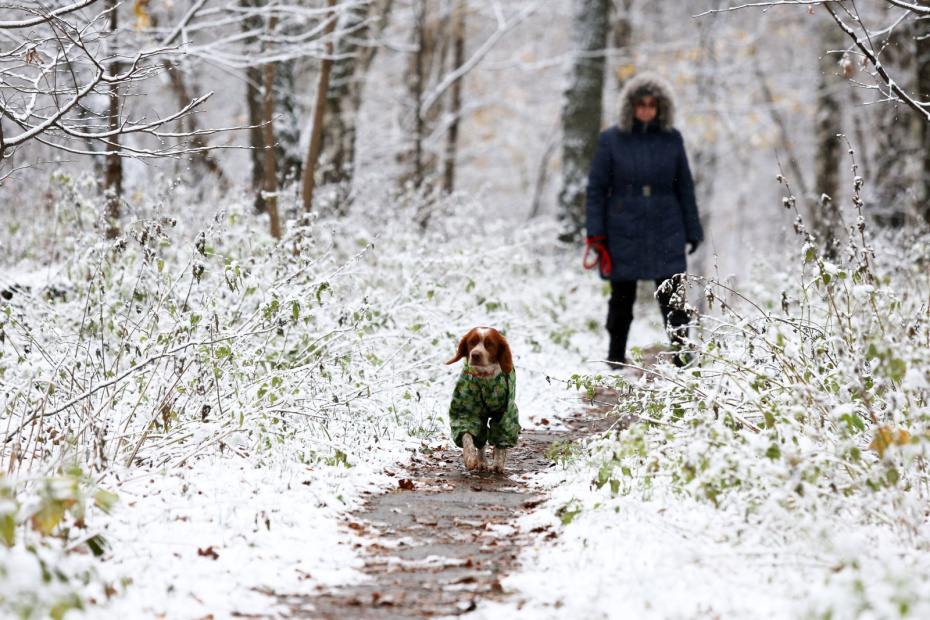 Первый снег в Москве