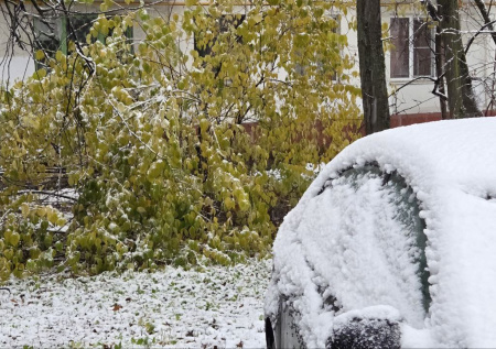 Мокрый снег оставил несколько районов Владимирской области без света