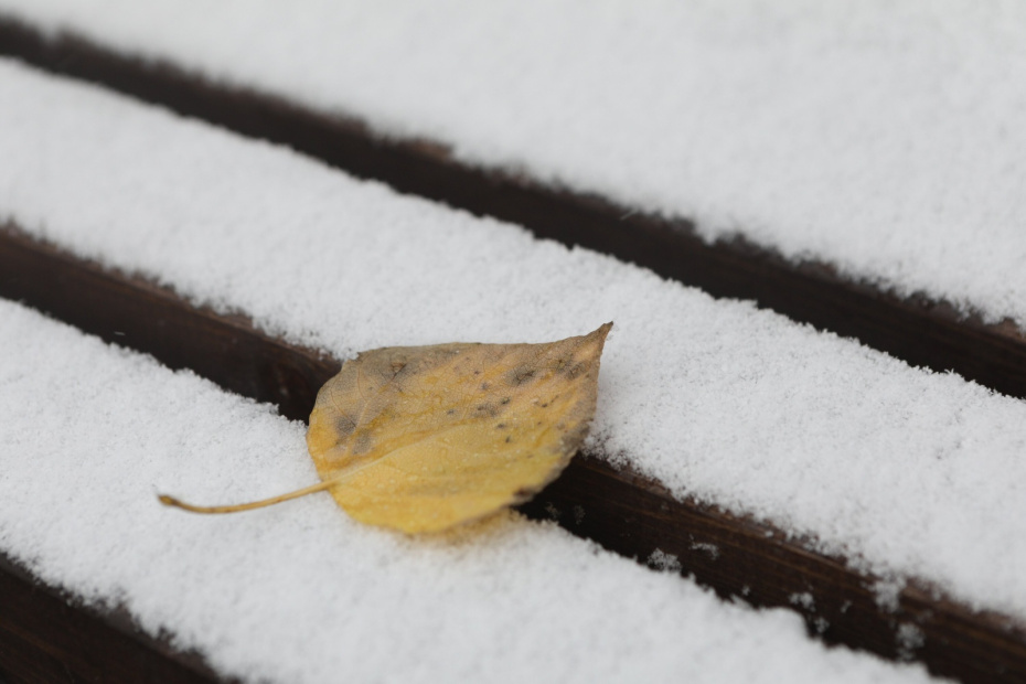 Первый снег в Москве