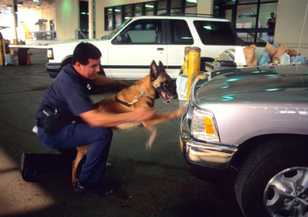 В Мехико в ходе марша были ранены 100 полицейских