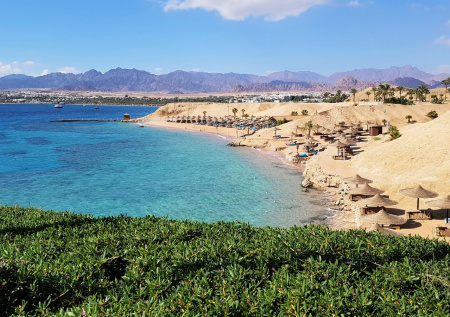 Россияне лишились элитных квартир в Египте из-за чужой смерти и долгов