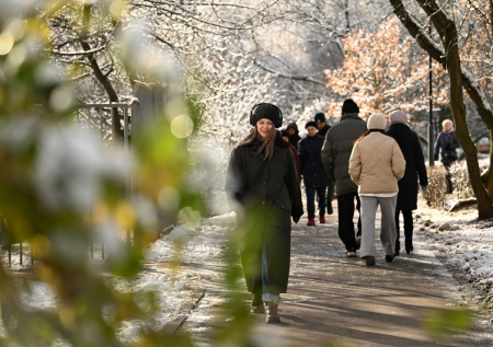 Погода в Москве в понедельник, 17 ноября: ждать ледяной дождь и гололедицу?