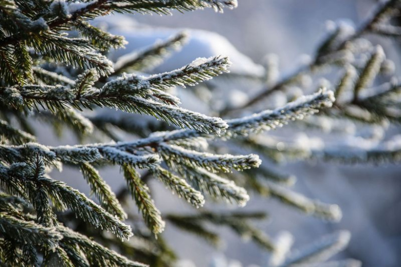 Приметы 18 ноября