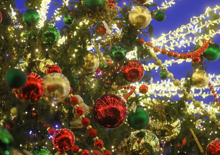 Воробьев раскрыл, когда в парках Подмосковья начнется предновогодний сезон