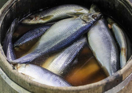 Популярная среди россиян рыба может подорожать к Новому году