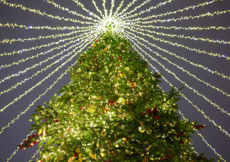 Обезглавленную Снегурочку обнаружили в центре российского города