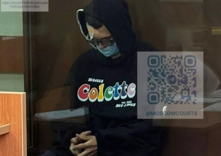 Следствие по делу блогера Никиты Ефремова завершено