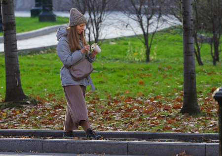 Погода в Москве во вторник, 18 ноября: рекордное тепло вернет «весну»?